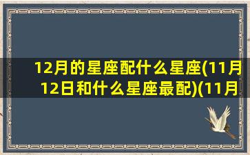 12月的星座配什么星座(11月12日和什么星座最配)(11月 12月星座)